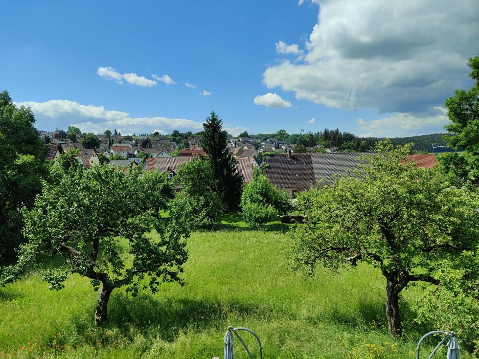 Ferien Im Schwarzwald - Brigachtal Apartment Heergasse Ngoại thất bức ảnh